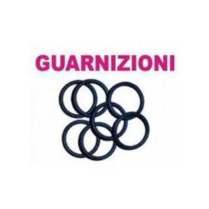 10 Guarnizioni per siringhe